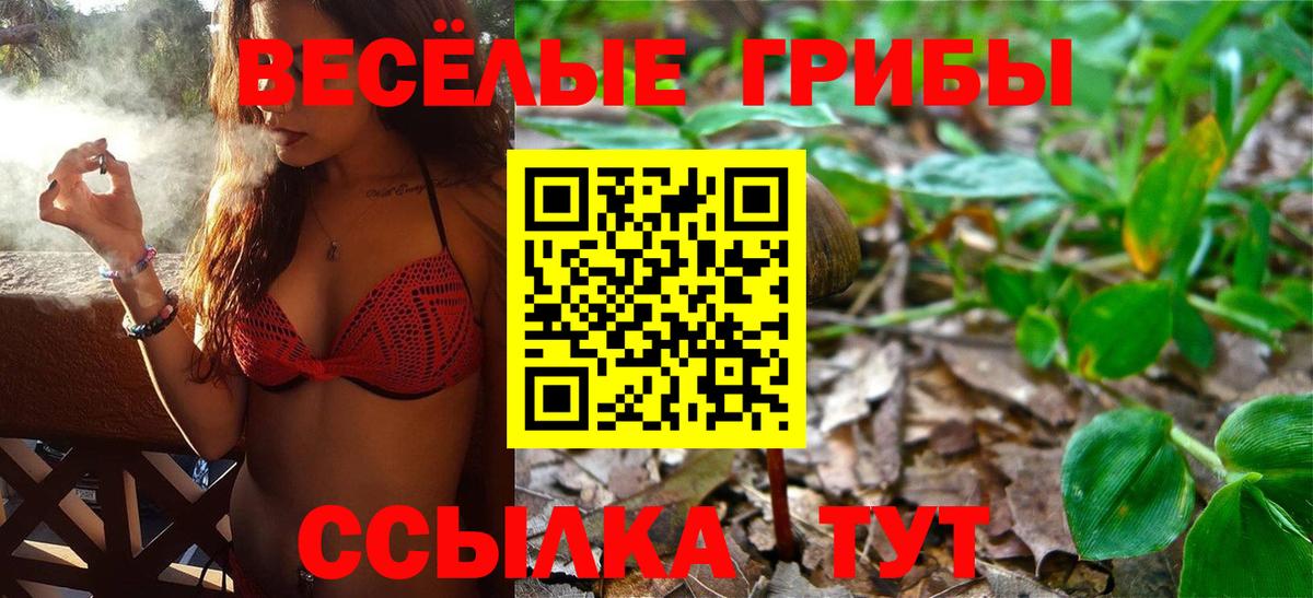 Псилоцибиновые грибы прущие грибы  Вход с VPN  Псилоцибиновые грибы Cubensis  Владикавказ 