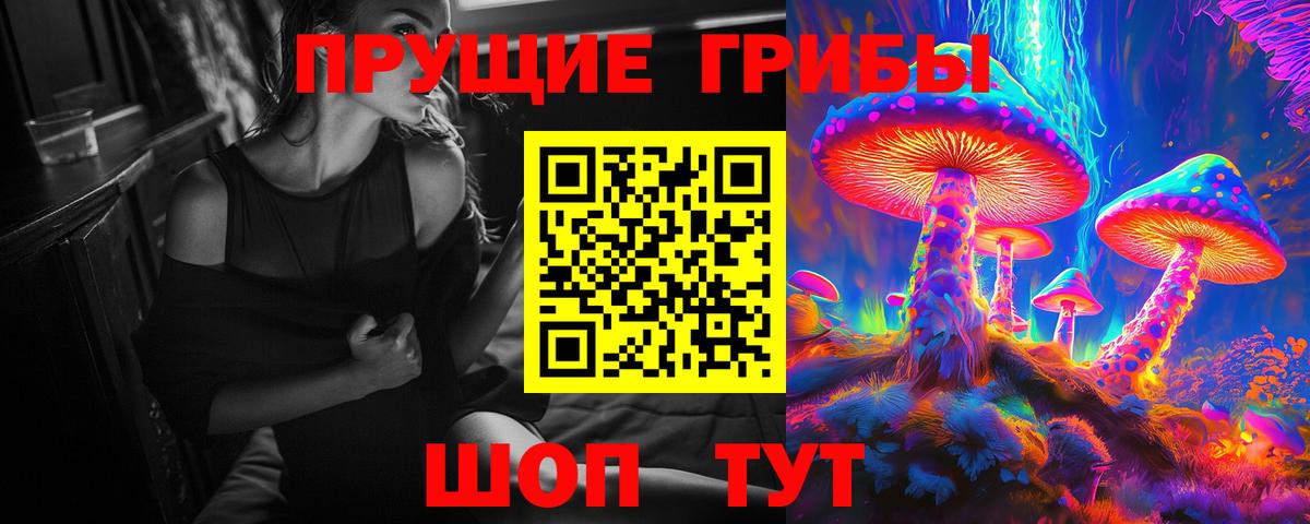 Галлюциногенные грибы Cubensis Владикавказ